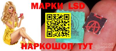 метадон Новозыбков