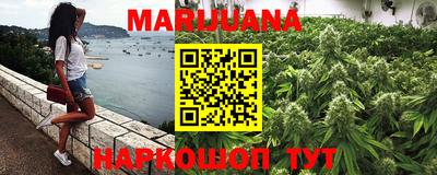 трава Новокубанск