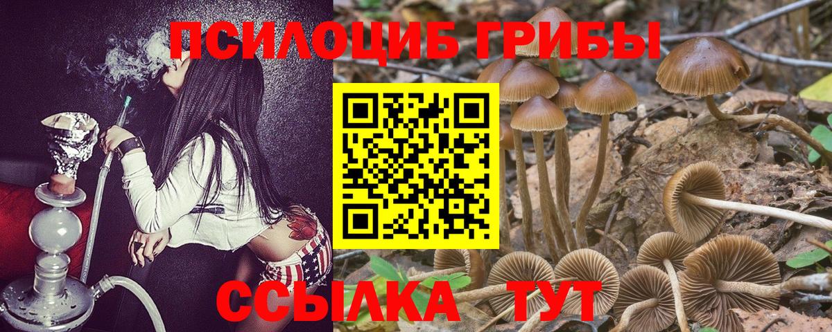 Где найти наркотики?  Фурманов  Alpha-PVP СК   NBOMe  MDMA  Гашиш  Вход с VPN  Cocaine  МЕФ кристаллы 