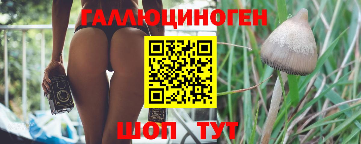 Псилоцибиновые грибы Psilocybine cubensis  Вход с VPN  Фурманов  Галлюциногенные грибы Cubensis 